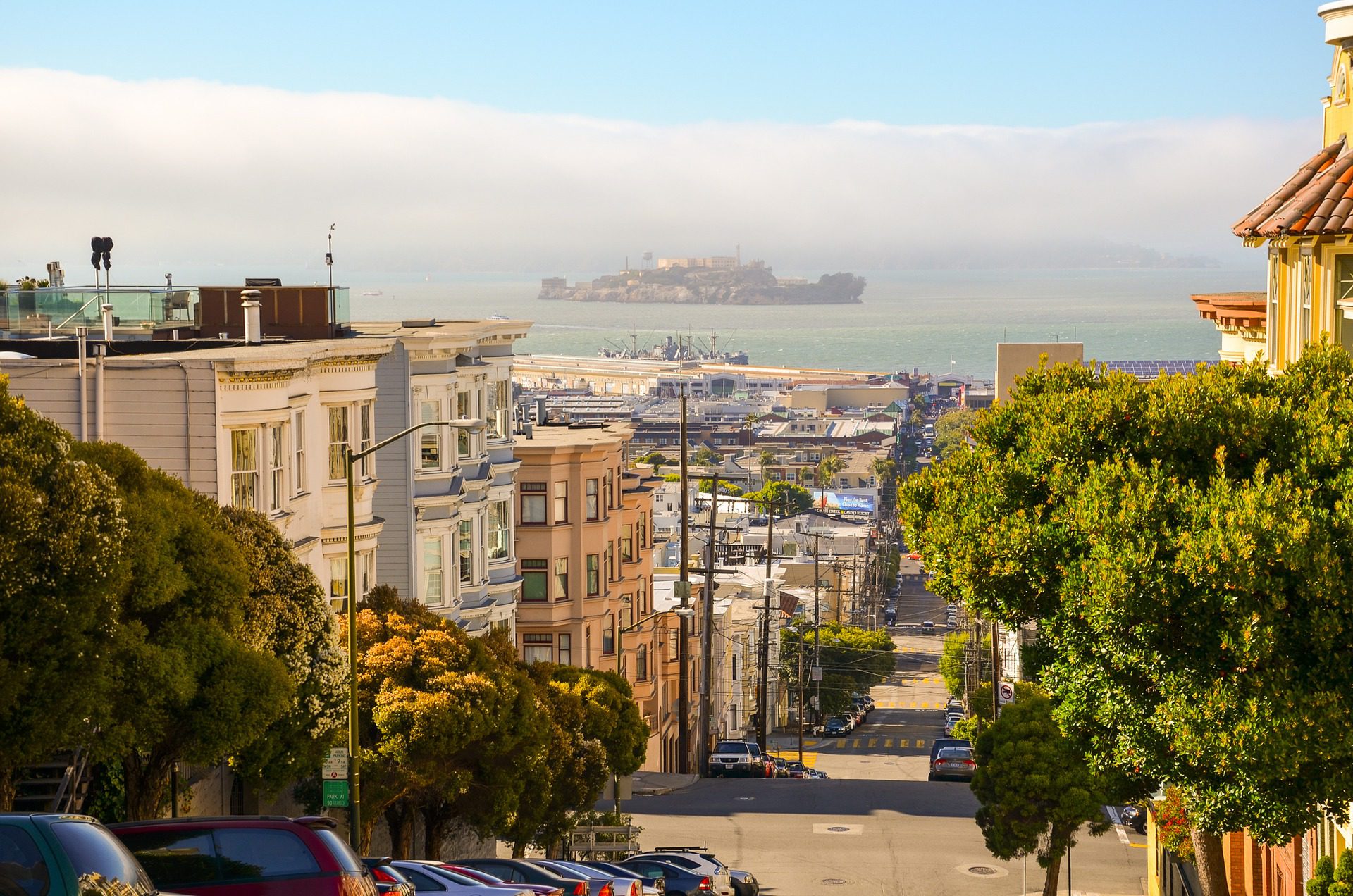 san francisco residential window film