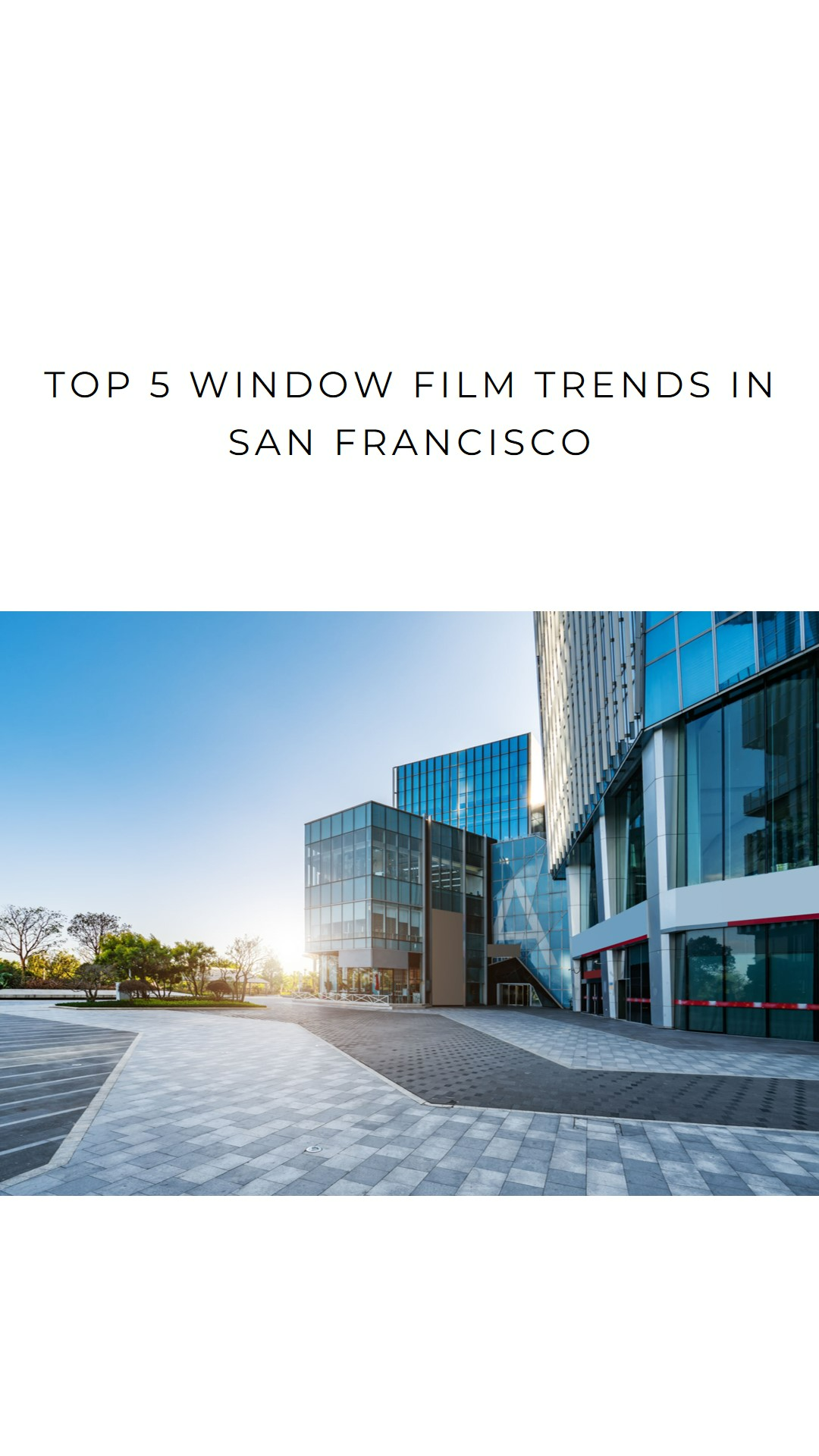 san francisco window film trends