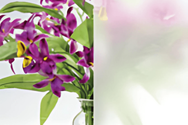 Satin Crystal (NRMV SC HPR) - Elegant Frost